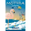 Sale mediterraneo grosso 1kg MOTHIA