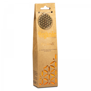 Incenso in coni Patchouli con brucia coni da 12 coni Organic Goodness