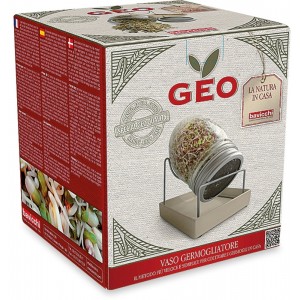 Germogliatore in Vetro Vaso Geo