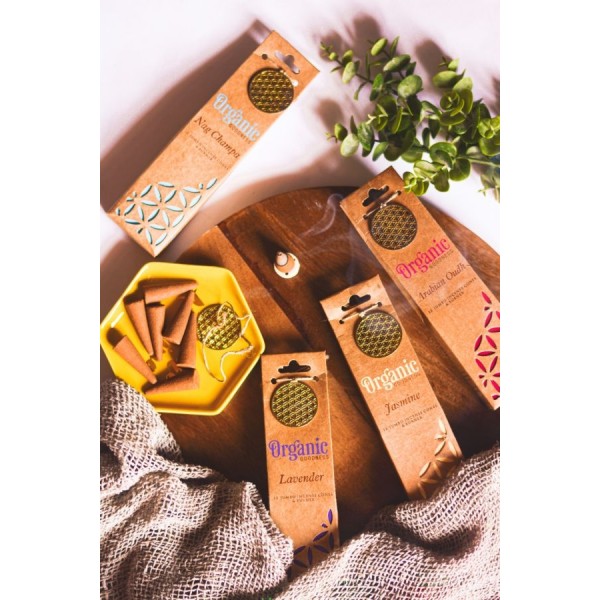 Incenso in coni Vanilla con brucia coni da 12 coni Organic Goodness